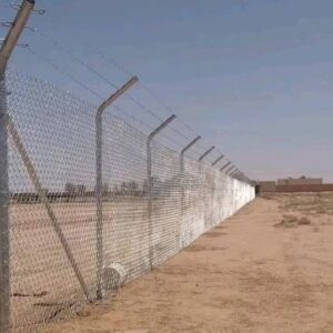 شبوك-2-300x300 شبوك (2)