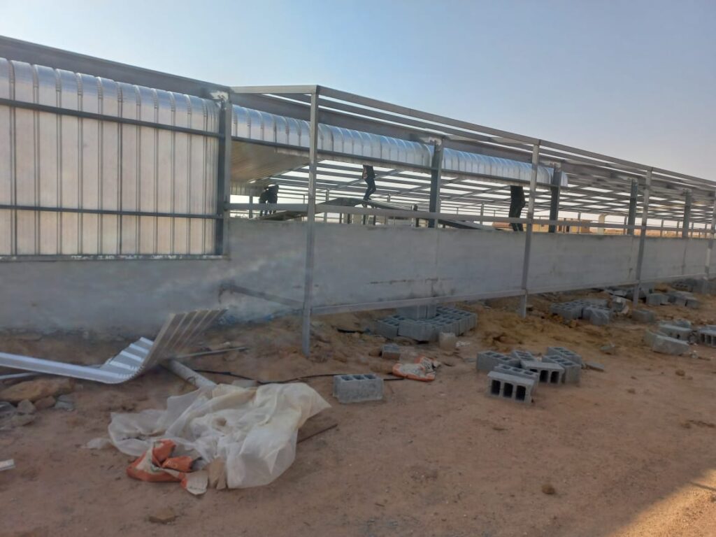 هناجر-دواجن-10-1024x768 هناجر مزارع دواجن في جدة