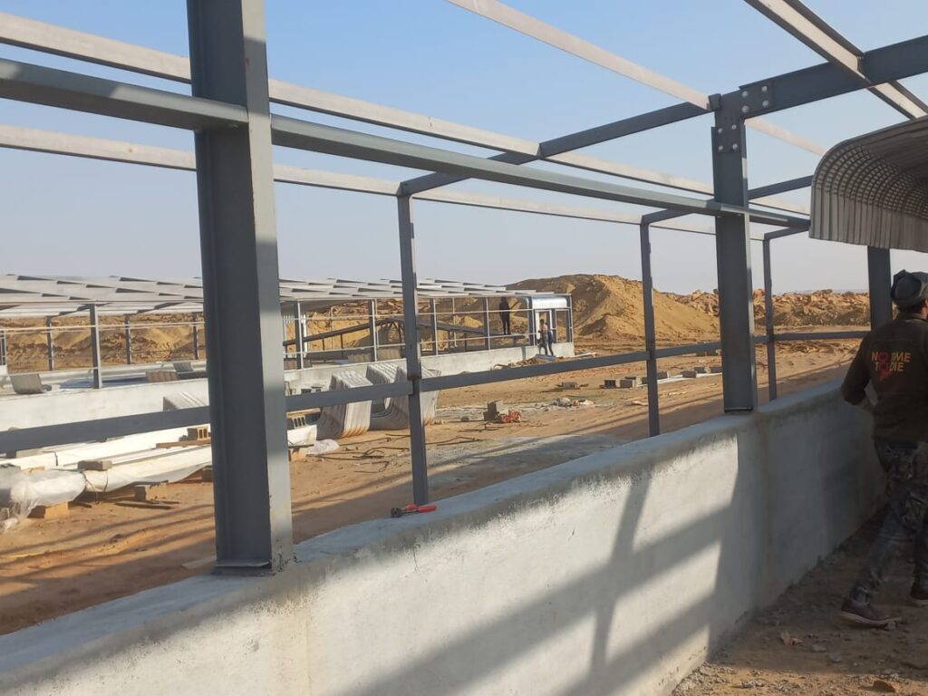 هناجر-دواجن-8-1024x768 هناجر مزارع دواجن في جدة